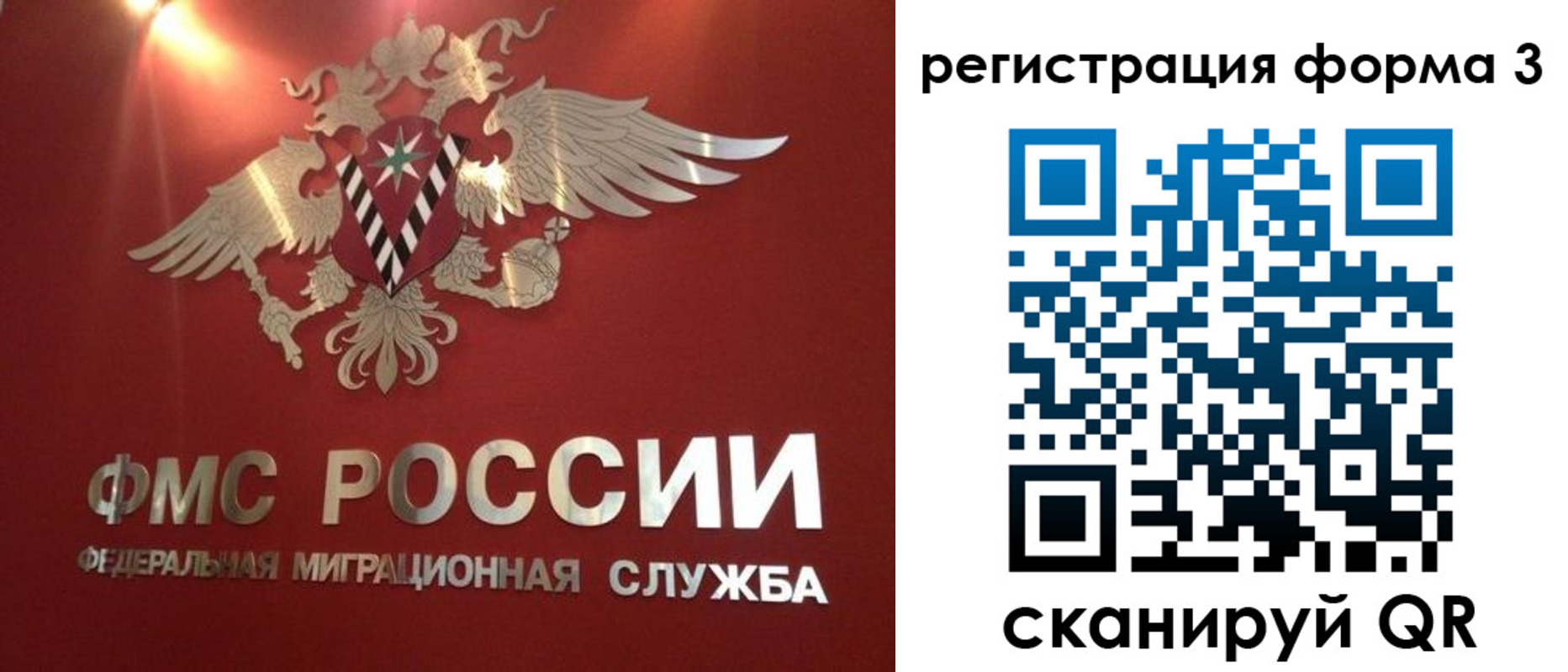 прописка гарантия в Волосово